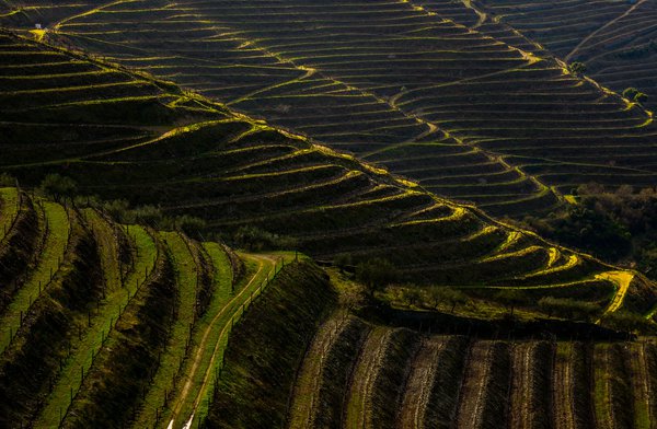 - A Globalização e a Gastronomia